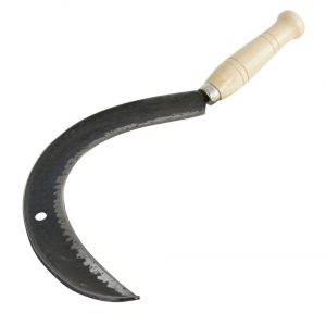 product_image